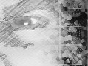 Thumbnail: Roar
